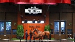 【セレクトセール2024】ドリームアンドドゥの2024は2億円 ロデオジャパンが落札