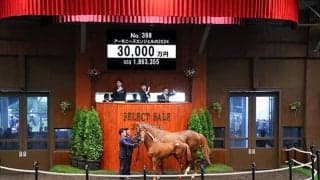 【セレクトセール2024】アーモニーズエンジェルの2024は3億円 Y’s consignment salesが落札