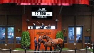 【セレクトセール2024】メンディドの2024は1億2500万円 望月健二郎氏が落札