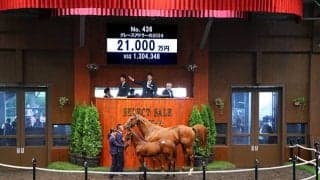 【セレクトセール2024】グレースアドラーの2024は2億1000万円 「ダノン」の冠名で知られる(株)ダノックスが落札