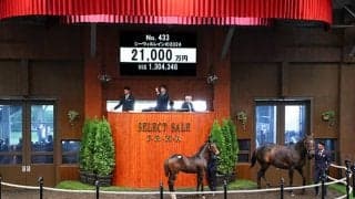 【セレクトセール2024】シーウィルレインの2024は2億1000万円 「アスク」の冠名で知られる廣崎利洋HD(株)が落札