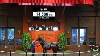 【セレクトセール2024】ハーレクイーンの2024は1億4500万円 「マテンロウ」の冠名で知られる寺田千代乃氏が落札