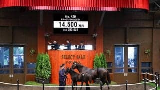 【セレクトセール2024】モルトアレグロの2024は1億4500万円 ハピなどを所有の寺田寿男氏が落札