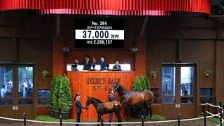 米G1馬の仔を廣崎利洋氏が3億7000万円で落札 矢作調教師は「オーナーとダービーを獲りたい」