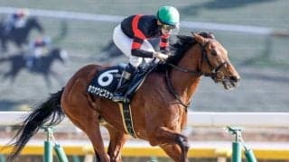 【函館記念予想オッズ】ホウオウビスケッツが予想1番人気