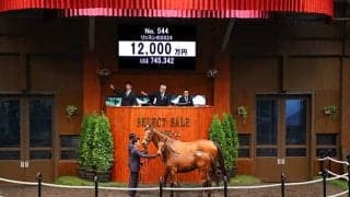 【セレクトセール2024】リッスンの2024は1億2000万円  今年最後の一頭は「アドマイヤ」の冠名で知られる近藤旬子氏が落札