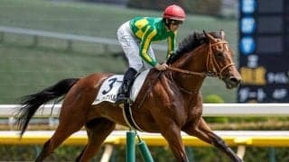 【函館2歳S予想オッズ】サトノカルナバルが予想1番人気