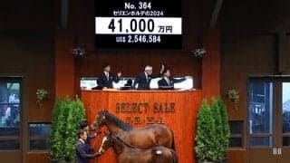 【セレクトセール2024】2日間の総売上は289億円超で歴代最高 当歳の最高額は4億1000万円/当歳セッション