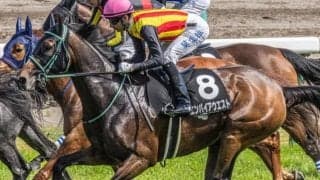 26年ぶりの牝馬Vなるか エンパイアウエストが函館記念で重賞初挑戦