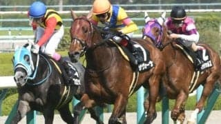 【函館記念展望】波乱前提のハンデ戦、距離短縮組が狙い目