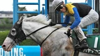 「白毛のアイドル」が重賞3勝目狙う 一昨年に制した函館記念に再びチャレンジ