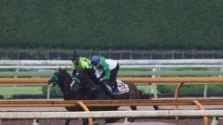 エルトンバローズ、中京記念1週前追い切り速報/栗東トレセンニュース