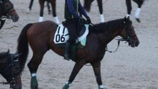 セオ、中京記念1週前追い切り速報/栗東トレセンニュース