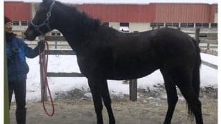 トウカイテイオーの「2×3」 初白星の夢に向かってテイオーノユメが初陣