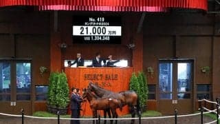 活気あふれたコントレイル、フライトラインら「未知の魅力」 売上レコードを記録したセレクトセールを回想