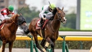 【中京記念想定】エルトンバローズ、エピファニーなど15頭