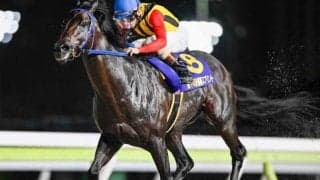 【大井・優駿スプリント結果】ティントレットが一気の距離短縮で重賞初制覇！