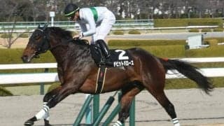 【函館記念予想】ハンデ重賞なのに実績馬が目立たない？ 穴党のAIも堅めの決着を示唆