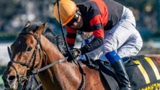 最大の敵は長年破られないジンクス!? 昨年のダービー6着馬が巴賞から連勝狙う