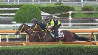 ビヨンドザファザー、マーキュリーC最終追い切り速報/栗東トレセンニュース