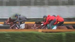 テンカハル、マーキュリーC最終追い切り速報/栗東トレセンニュース