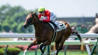 【函館2歳S出走馬・騎手確定】エンドレスサマー＆横山和生騎手、サトノカルナバル＆佐々木大輔騎手など14頭