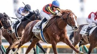 昨年の新潟記念覇者ノッキングポイント 右前繋部浅屈腱炎で9カ月以上の休養見込み