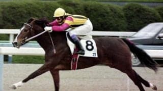 4代母ベガなど一族に名馬ズラリのサートゥルナーリア産駒 デビュー戦から魅せる