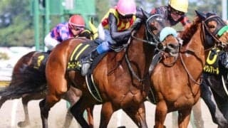 母は米2歳牝馬チャンピオン ミストラルフェザーがデビュー勝ちなるか