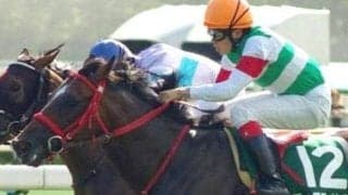 初重賞制覇の函館2歳Sを前に… 三浦皇成騎手のデビューイヤーを振り返る