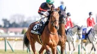 【函館記念枠順確定】ホウオウビスケッツは6枠12番、サヴォーナは1枠1番