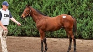 【セレクトセール2024】フライトライン産駒が2頭目の2億超え…（株）ダノックスが落札