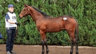 【セレクトセール2024】砂の怪物フライトラインの産駒が2億1000万円…国本哲秀氏が落札