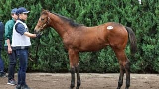 【セレクトセール2024】キタサンブラック牝が2億円…ロデオジャパンが落札