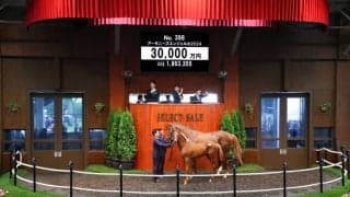 【セレクトセール2024】ガンランナー産駒は3億円で落札