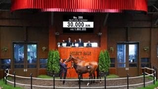 【セレクトセール2024】コントレイル産駒が3億円…（株）ダノックスが落札