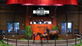 【セレクトセール2024】エピファネイア産駒が3億7000万円…廣崎利洋HD（株）が落札