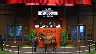 【セレクトセール2024】4億円飛び出す！シュネルマイスター半弟…田畑利彦氏が落札