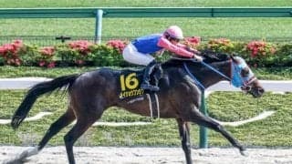 【盛岡・マーキュリーC枠順】重賞初制覇かかるメイショウフンジンは1枠1番、3連勝中のロードアヴニールは4枠5番