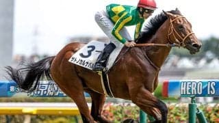 【函館2歳S予想】前走函館組が圧倒的な良績を残す！ キャリアの浅い2歳戦は前走での経験が重要