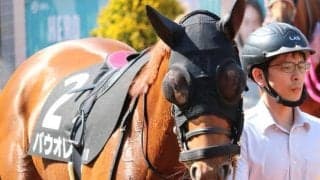 福島ダートはストームキャット系に注目 パウオレの押し切りだ