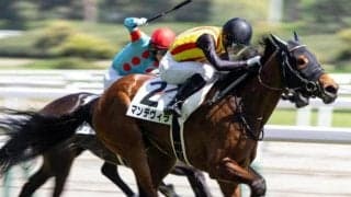 きょうだいはGI・2勝馬など多数活躍 その妹が不知火特別で連勝狙う