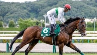 【中京記念想定馬・騎手】エルトンバローズ、セオなど16頭