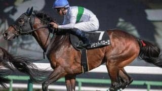 今週の武豊騎手は11鞍 デビットバローズで函館記念の11年ぶり2勝目なるか