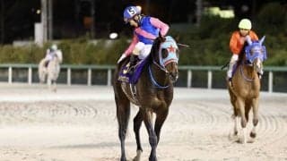 【マーキュリーカップ】メイショウフンジンは1枠1番