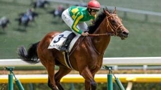 【今日の注目ポイント】函館でJRA2歳重賞第一弾・函館2歳S