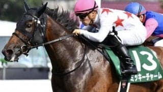 重賞2勝ミッキーチャームの初仔 既走馬相手にデビューVなるか