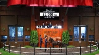 【セレクトセール2024】爆買い！藤田晋氏がコントレイル産駒を2億5000万円で落札