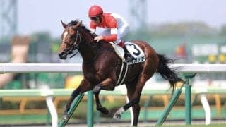 【函館1R】リアルスティール産駒 イガッチが初勝利