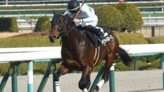 【函館記念予想】前走の巴賞で連対したのは大きな割引材料!? 好走の鍵を握るのは根幹距離への適性